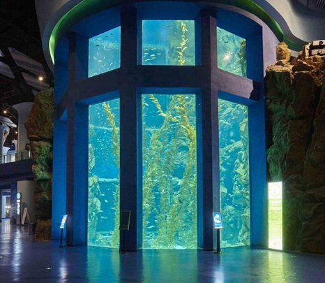 Acuario de Cilindro Acr&iacute;lico- LEYU.jpg